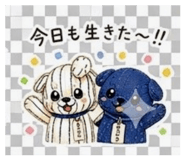 855692953