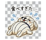 855692955