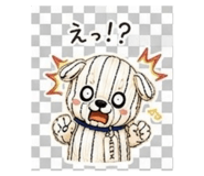 855692969