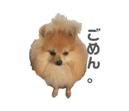 855692988