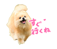 855692993