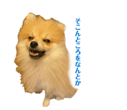855693000