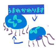855693043