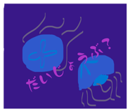 855693045