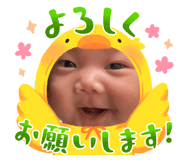 855693090
