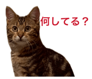 855693178
