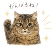 855693260