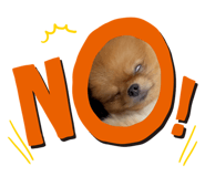 855693274