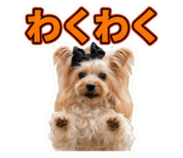 855693297