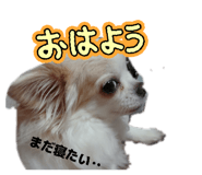 855693537