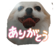 855693542