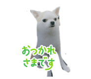 855693552