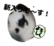 855693556