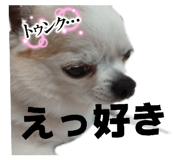 855693557
