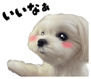 855693988