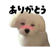 855693989