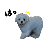 855694014