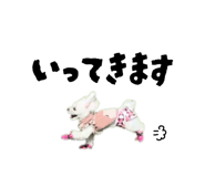 855694023