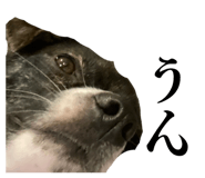 855694273