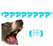 855694276