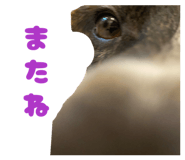 855694277
