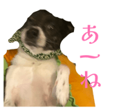855694279