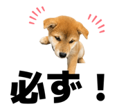855694325