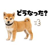 855694332