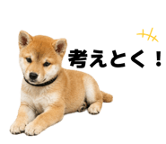 855694341