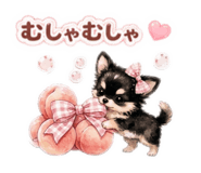 855694398