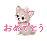 855694428