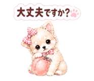855694430