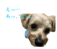 855694440