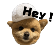 855694506