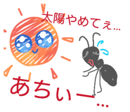 855694852