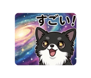 855695770