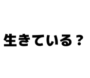 855696074
