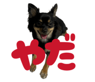 855696124