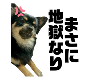 855696128