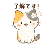 855696377