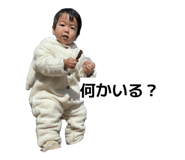 855696672