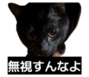 855696754