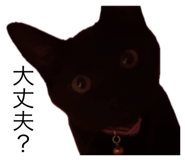 855696760