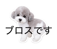 855697082