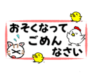 855697255
