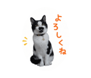 855697311