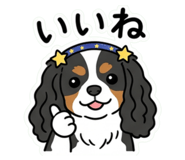 855697361