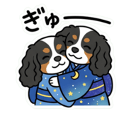 855697368