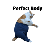 855697393