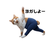 855697396